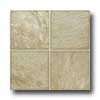 Tarkett Tarkett Contours - Medina Tuscan Brown Vinyl Flooring