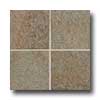 Daltile Daltile Castanea 11 X 11 Luserna Tile  &  Stone