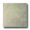 Italgres Italgres Scabos 13 X 13 Marfil Tile  &  Stone