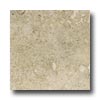 Mohawk Mohawk Egyptian Stone 6 X 6 Ramses White Tile  &  Stone
