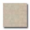 Congoleum Congoleum Ultima - Brazilian Slate Opal White Vinyl Flooring