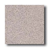Crossville Crossville Cross-colors A 8 X 8 Polished Mica Tile  &  Stone