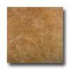 Tilecrest Tilecrest Kyle 6 1 / 2 X 6 1 / 2 Beige Tile  &  Stone
