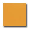 Interceramic Interceramic Colours 8 X 8 Orange Sunset Tile  &  Stone