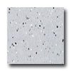 Armstrong Armstrong Excelon Companion Square Premium Mono Gray Vinyl Floor