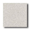 Mannington Mannington Biospec Cool Beige Vinyl Flooring