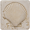 Tesoro Tesoro Fossil Listello Scallop Tile  &  Stone