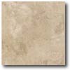 Daltile Daltile Gold Rush 8 X 10 Goldust Tile  &  Stone