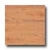 Earth Werks Earth Werks Aberdeen Plank 4921 Vinyl Flooring