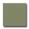 Daltile Daltile Semi-gloss 4 1 / 4 X 4 1 / 4 Garden Spot Tile  &  Stone