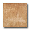 Emser Tile Emser Tile Vecchia Corte 20 X 20 Giallo Tile  &  Stone