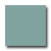 Daltile Daltile Design Porcelain Unpolished 8 X 8 Pietra Di Mare Tile  &