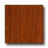 Armstrong Armstrong Grand Illusions Brazilian Jatoba Laminate Flooring
