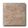 Rex Rex Magistra Asper Bush-hammered 18 X 18 Cineris Tile  &  Stone