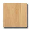 Kahrs Kahrs American Naturals 1 Strip Hard Maple Vancouver Hardwood Fl