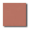 Crossville Crossville Cross-colors A 6 X 6 Polished Terra Rosata Tile  &  Sto