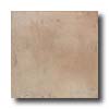 Armstrong Armstrong Terra Blend 18 X 18 Terra Blend Tile  &  Stone