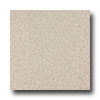 Armstrong Armstrong Medintech Tandem Inlaid Campanula Buff Vinyl Flooring