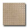 Daltile Daltile Maracas Glass Mosaics - Frosted Mushroom Tile  &  Stone
