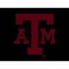 Logo Rugs Logo Rugs Texas A  &  M University Texas A & m Entry Mat 18 inch  X 24
