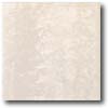 Daltile Daltile Landscape (unpolished) 12 X 12 Paros Unpolished Tile  &  S