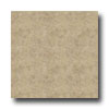 Armstrong Armstrong Arayan 13 X 13 Beige Tile  &  Stone