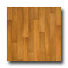 Tarkett Tarkett Infinity - American Elm Copper Elm Vinyl Flooring