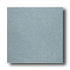 American Olean American Olean Terra Paver Polished 12 X 12 Evening Shadow Tile