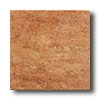 Daltile Daltile Antica Roma (unpolished) - 12 X 12 Viminale Tile  &  Stone