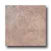 Tesoro Tesoro Zendo 6.5 X 6.5 Dust Tile  &  Stone