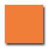 Armstrong Armstrong Mode - Solids Orange Orange Vinyl Flooring