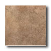 American Olean American Olean Vallano 12 X 12 Milk Chocolate Tile  &  Stone