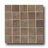 American Olean American Olean Costa Rei Mosaic 2 X 2 Terra Marrone Tile  &  Stone