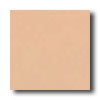 Crossville Crossville Cross-colors C 6 X 6 Polished Maple Sugar Tile  &  Ston