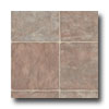 Tarkett Tarkett Personal Expressions - Regent Tree Baril Vinyl Flooring
