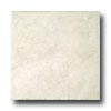 Tesoro Tesoro Amalfi 8 X 12 Beige Tile  &  Stone