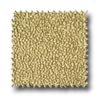 Mirage Tile Mirage Tile Tear Drop 11 X 11 Cappuccino Tile  &  Stone