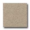 Santa Regina Santa Regina Architectural 24 X 24 (polished) Speckled Tan Terra