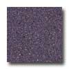 Mannington Mannington Biospec Eggplant Vinyl Flooring