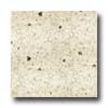 Santa Regina Santa Regina Designer 24 X 24 (natural) Cedar Fleck Terrazzo Til
