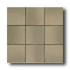American Olean American Olean Quarry Tile Abrasive 6 X 6 Gray Flash Tile  &  Ston
