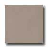 Marazzi Marazzi Le Cromie Matt Natural 12 X 12 Fumo Tile  &  Stone