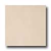 Marazzi Marazzi Le Cromie Polished 12 X 12 Opale Tile  &  Stone