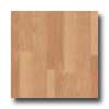 Earth Werks Earth Werks Wood Antique Plank Nwt9421cdbe Vinyl Flooring
