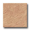 Ergon Tile Ergon Tile Porfirites 12 X 12 Giallo Torreglia Tile  &  Stone