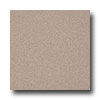 Armstrong Armstrong Medintech Tandem Inlaid Pumice Stone Vinyl Flooring