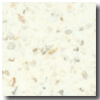 Fritztile Fritztile Classic Terrazo Cl200 1 / 8 Thick Twilight White Tile  &