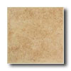 American Olean American Olean Sonesta 18 X 18 Walnut Tile  &  Stone