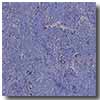 Armstrong Armstrong Marmorette Plum Vinyl Flooring