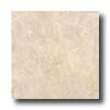 Armstrong Armstrong Avignon 13 X 13 Avignon Tile  &  Stone